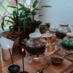 Herbalists/Apothecaries